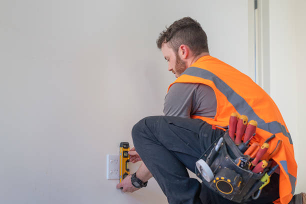 Best Electric Panel Repair  in Ahuimanu, HI